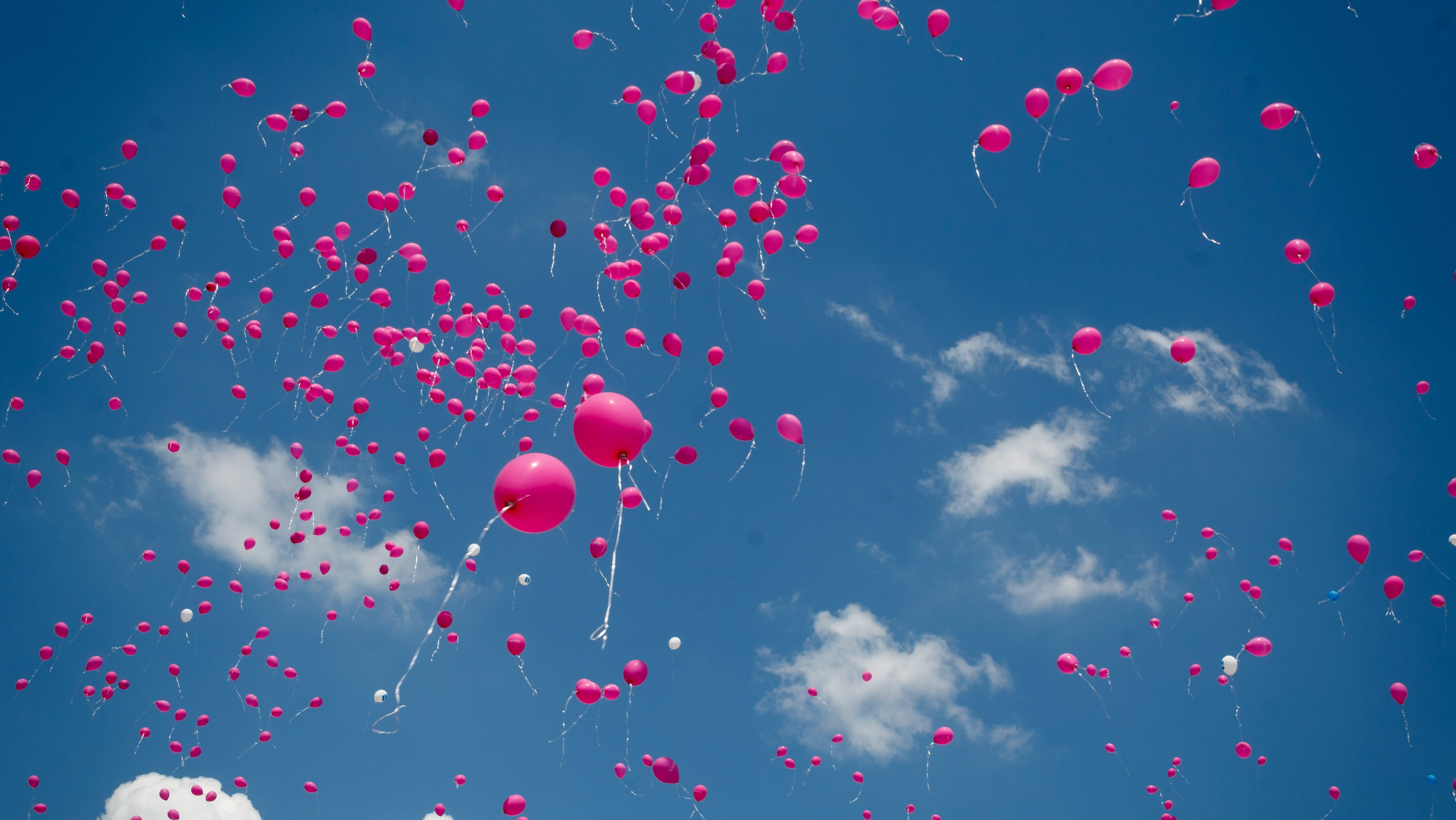 Pink balloons escaping into a blue sky.