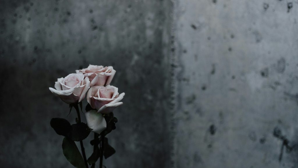 Fighting for Psilocybin Access: Inside the Right-to-Try and Rescheduling&nbsp;Effort